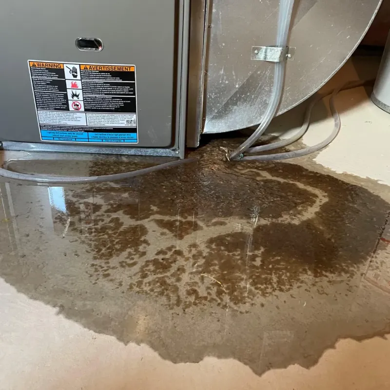 Appliance Leak Cleanup in Sugarcreek, OH